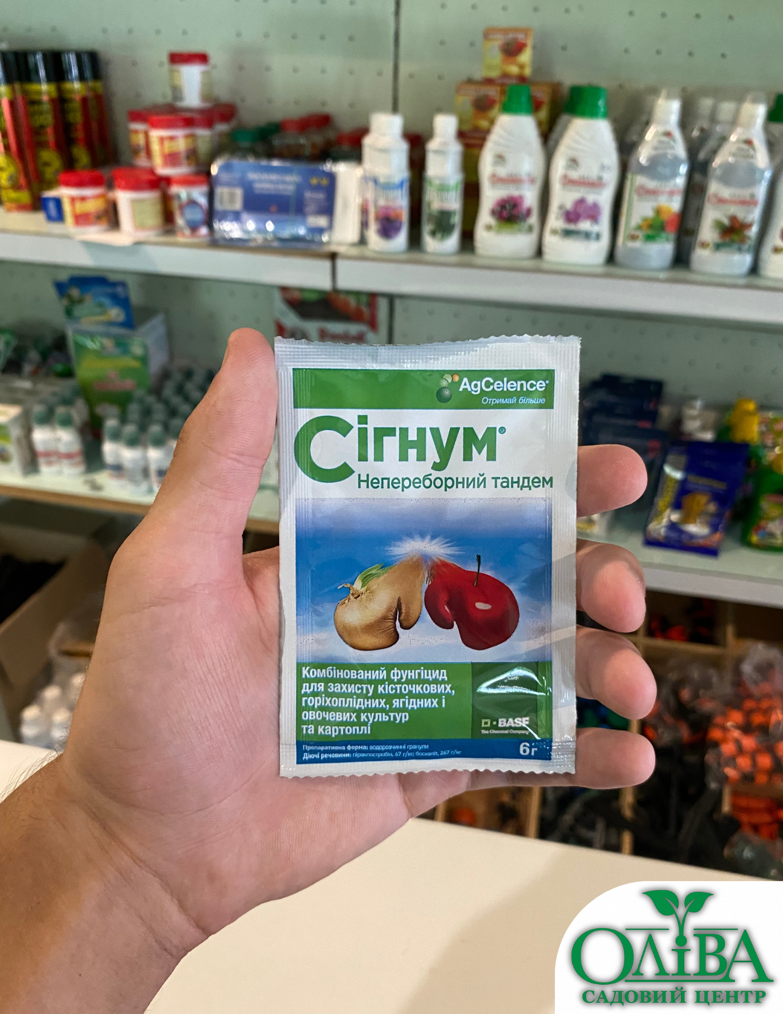 Сігнум – системний фунгіцид широкого спектра дії (6 г)