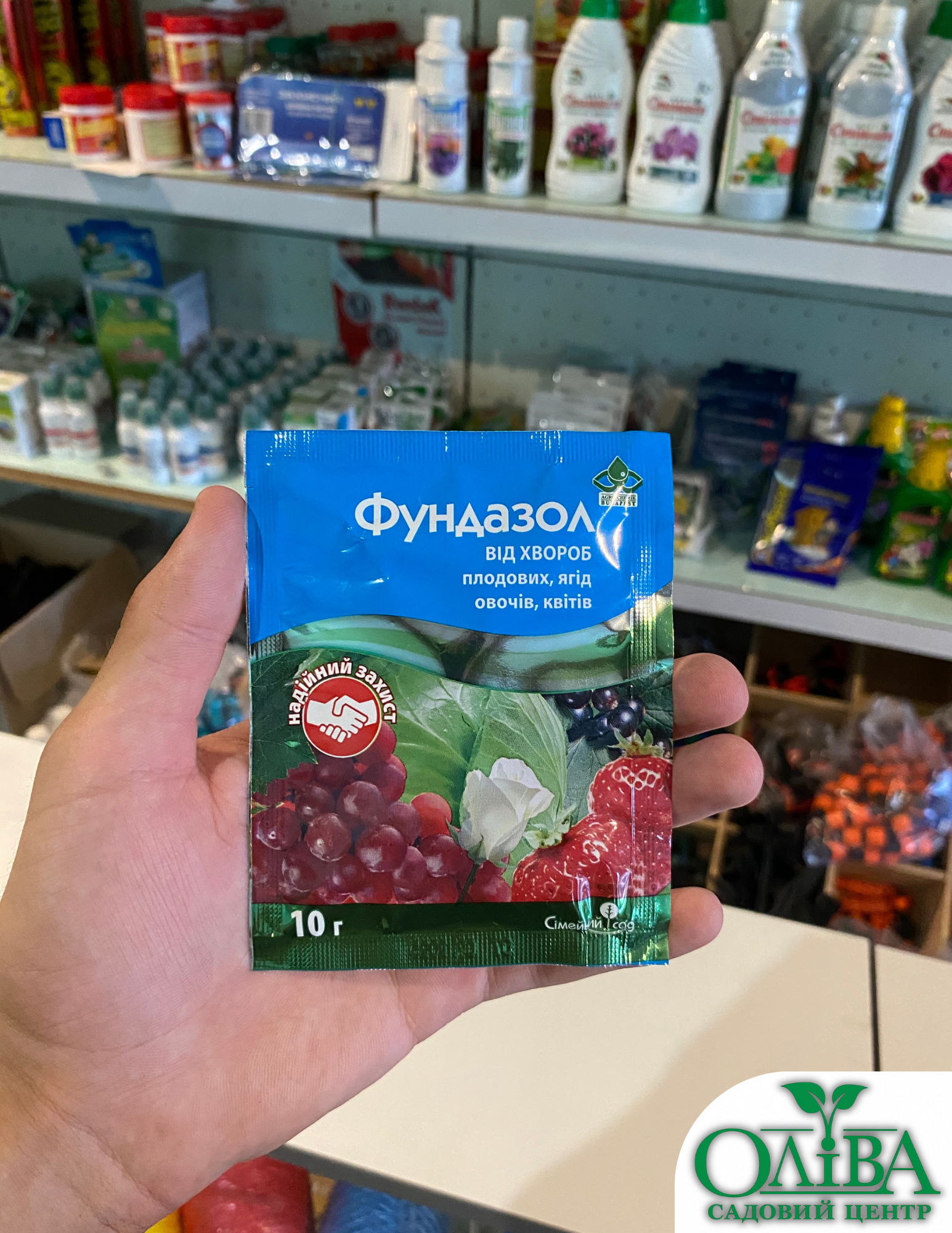 Фундазол – системний фунгіцид широкого спектра дії (10 г)