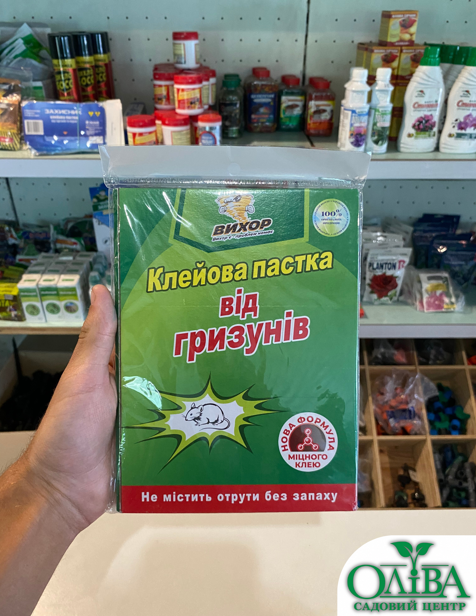 Клейова пастка від гризунів – ефективний засіб для вилову мишей і щурів